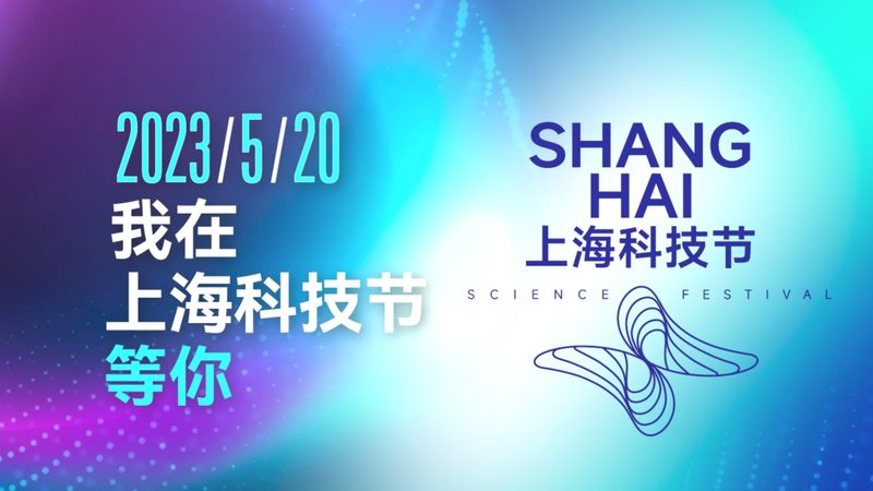 容器编排网络配置参数详解：性能与安全的双重考量**