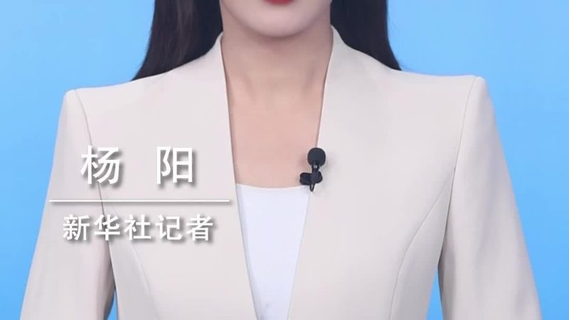 数字化解决方案：揭秘企业转型背后的实施安装流程